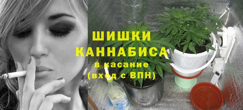 магазин    Заринск  Шишки марихуана White Widow 